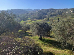 Casa tranquilla colonica toscana vicino a Firenze Seano